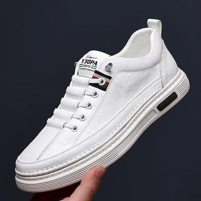 Casual Sports Loafers for Men